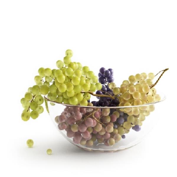 Grape 3D Model
